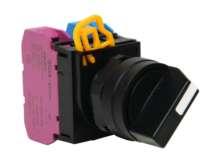 Công tắc xoay Giga Electric GW1S-2E10 GW1S-2E10